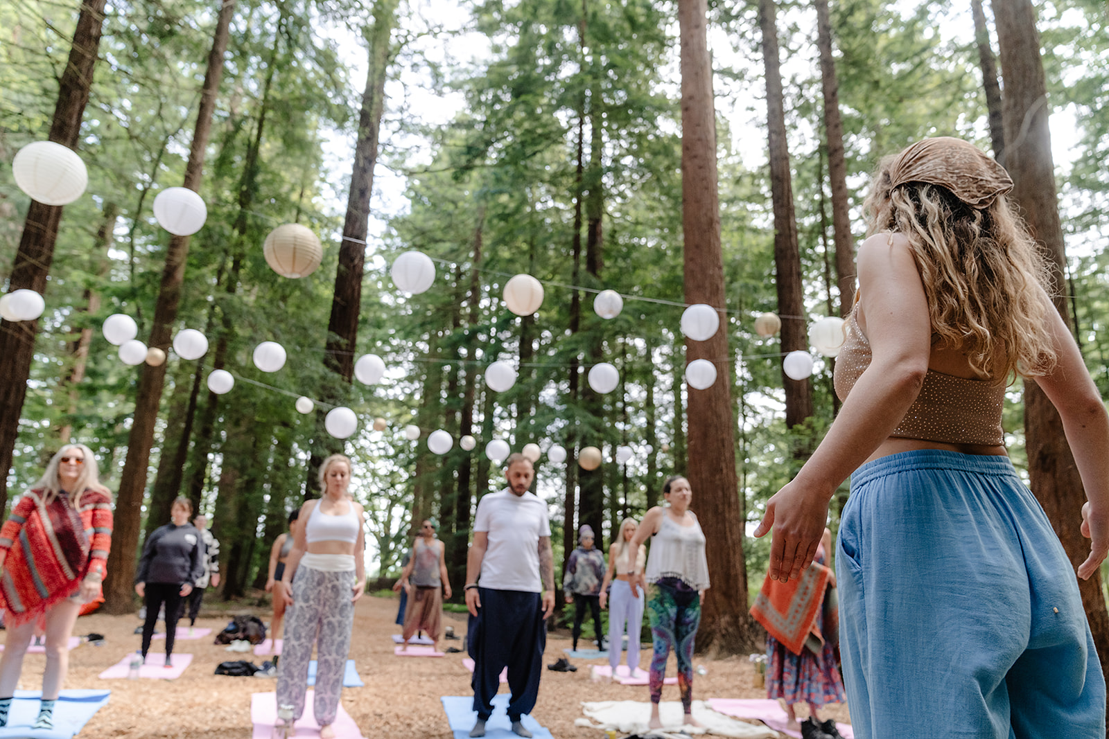 Redwoods event space